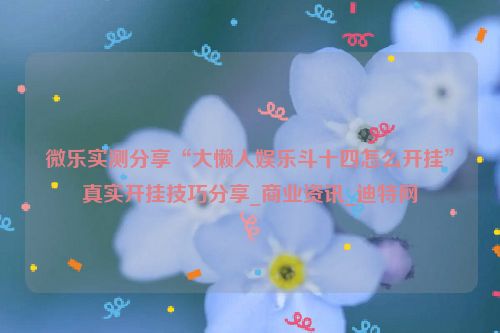 微乐实测分享“大懒人娱乐斗十四怎么开挂”真实开挂技巧分享_商业资讯_迪特网