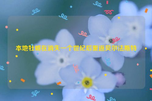 本地牡蛎在消失一个世纪后重返贝尔法斯特