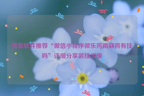 独家软件推荐“微信小程序微乐河南麻将有挂吗”详细分享装挂步骤
