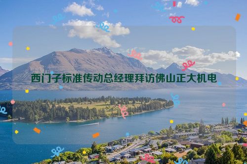 西门子标准传动总经理拜访佛山正大机电