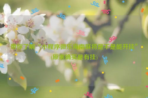 带你了解“小程序微乐海南麻将是不是能开挂”(原来确实是有挂)