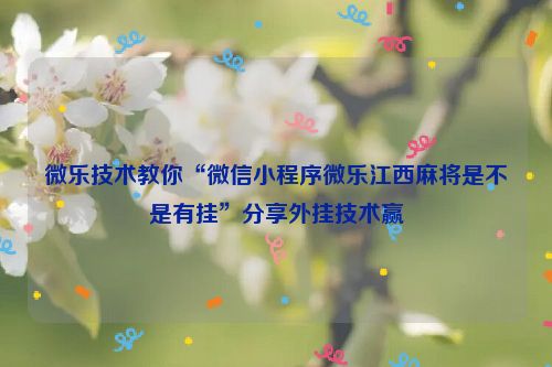 微乐技术教你“微信小程序微乐江西麻将是不是有挂”分享外挂技术赢