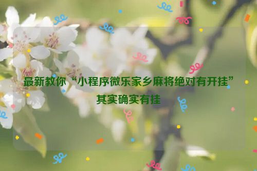 最新教你“小程序微乐家乡麻将绝对有开挂”其实确实有挂