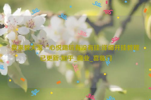 我来教大家“心悦踢坑有没有挂!详细开挂教程已更新-知乎_商业_喜临门