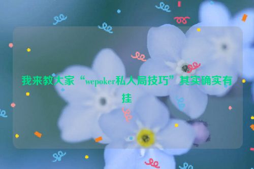 我来教大家“wepoker私人局技巧”其实确实有挂
