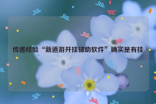 传递经验“新道游开挂辅助软件”确实是有挂