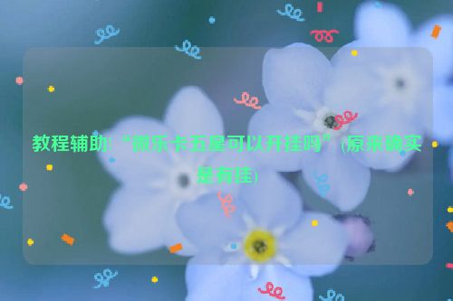 教程辅助!“微乐卡五星可以开挂吗”(原来确实是有挂)
